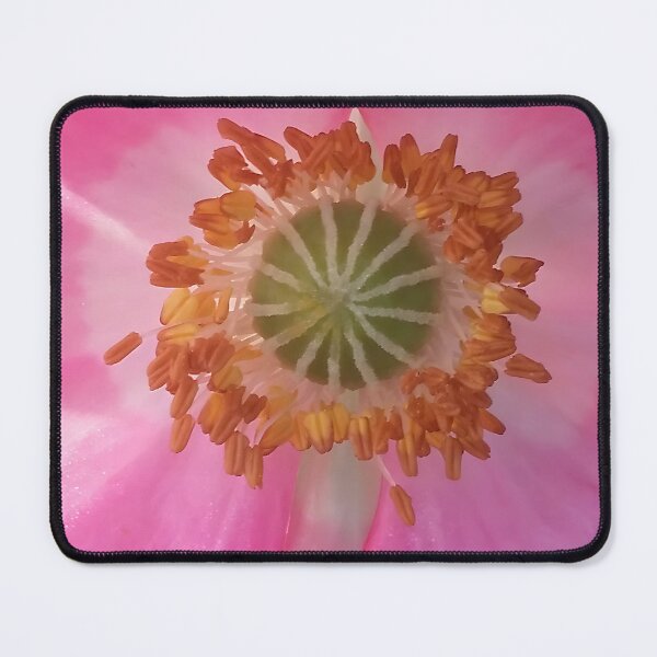 Item preview, Pink Poppy Closeup designed and sold by CalmnessbyChoice.