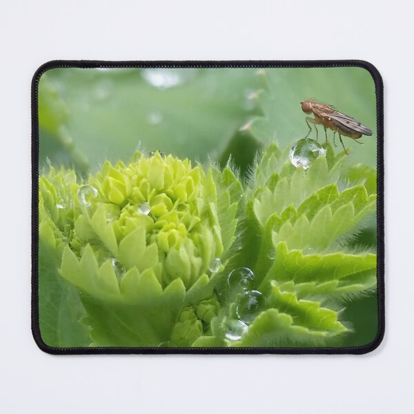 Item preview, Insect on Waterdrop designed and sold by CalmnessbyChoice.