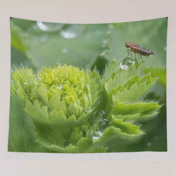 Item preview, Insect on Waterdrop designed and sold by CalmnessbyChoice.