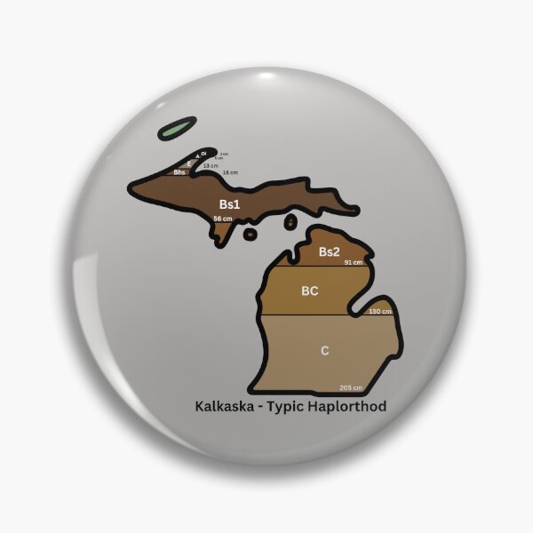 Item preview, Michigan State Soil - Kalkaska designed and sold by Cat00Tome.