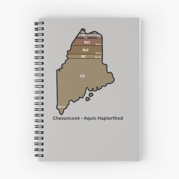 Item preview, Maine State Soil - Chesuncook designed and sold by Cat00Tome.