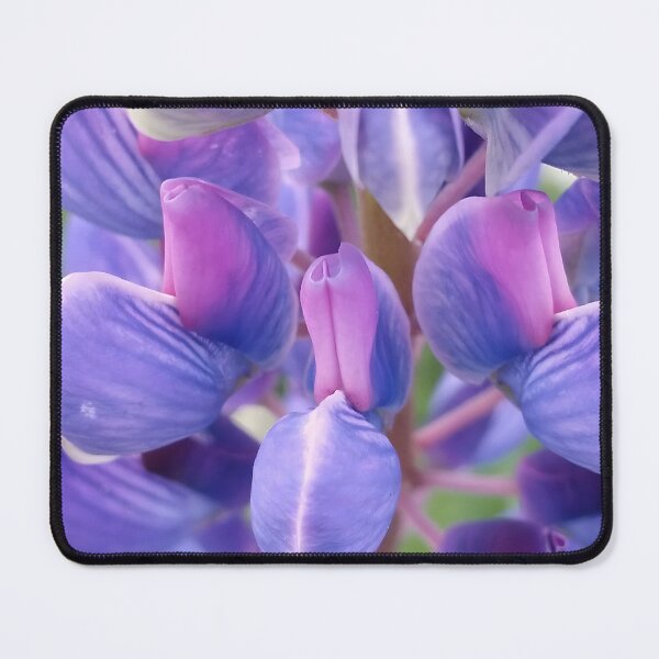 Item preview, Lupine Closeup designed and sold by CalmnessbyChoice.