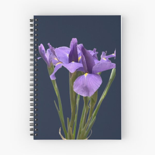 Item preview, Regal Purple Iris Bouquet with Long Stems Cutout designed and sold by BalkanBloom.