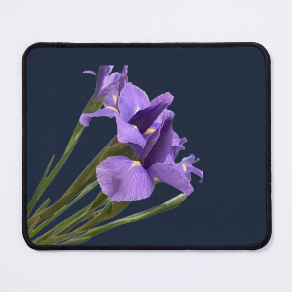 Item preview, Regal Purple Iris Bouquet with Long Stems Cutout designed and sold by BalkanBloom.