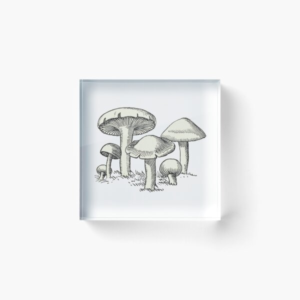 Item preview, Mushroom Garden, Vintage Mushroom Drawing  designed and sold by HawthorneFlame.