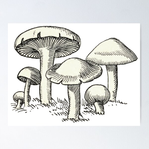 Item preview, Mushroom Garden, Vintage Mushroom Drawing  designed and sold by HawthorneFlame.