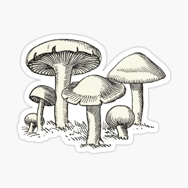 Item preview, Mushroom Garden, Vintage Mushroom Drawing  designed and sold by HawthorneFlame.