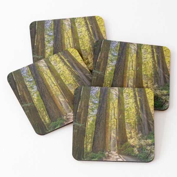 Item preview, Towering Redwoods Path designed and sold by CopperSkyPhoto.