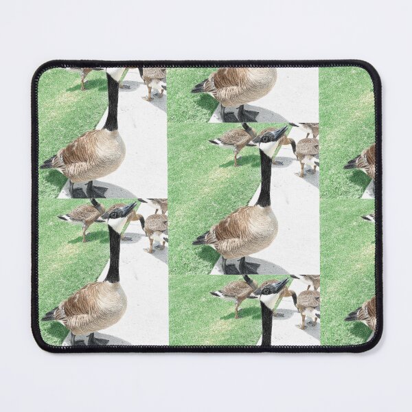 Item preview, Canada Geese Colored Pencil Art Print designed and sold by KaleChub.