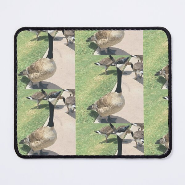 Item preview, Canada Geese Flock Real Photo Print designed and sold by KaleChub.