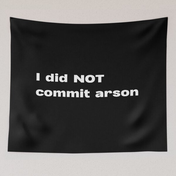 Item preview, I did NOT commit arson designed and sold by lexthelord.