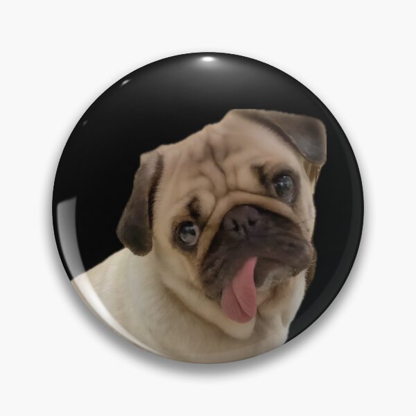 Item preview, Silly Tilted Head Derpy Pug Portrait designed and sold by RescueHeart10.