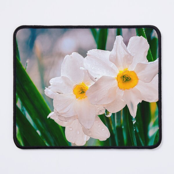 Item preview, Spring Shower designed and sold by Jim Love.