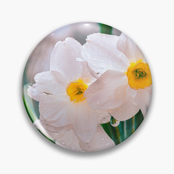Item preview, Spring Shower designed and sold by Jim Love.