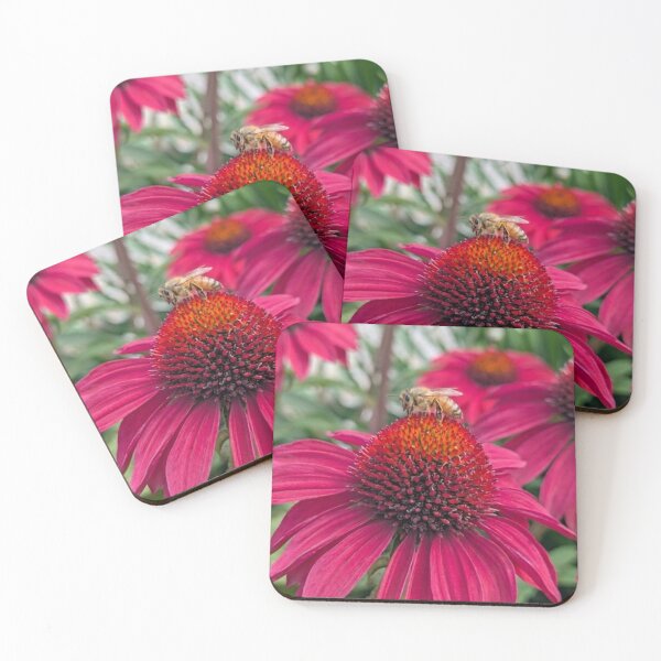 Item preview, Honeybee on Vibrant Pink Coneflower designed and sold by BloomBorder.