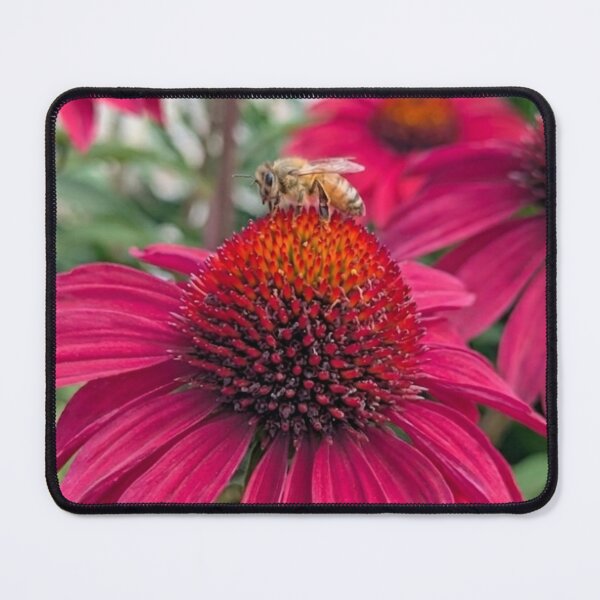 Item preview, Honeybee on Vibrant Pink Coneflower designed and sold by BloomBorder.