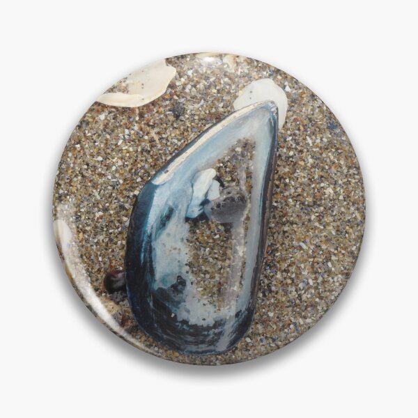 Item preview, reflecting pool in mussel shell designed and sold by HematiteDesign.
