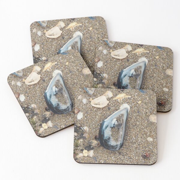Item preview, reflecting pool in mussel shell designed and sold by HematiteDesign.