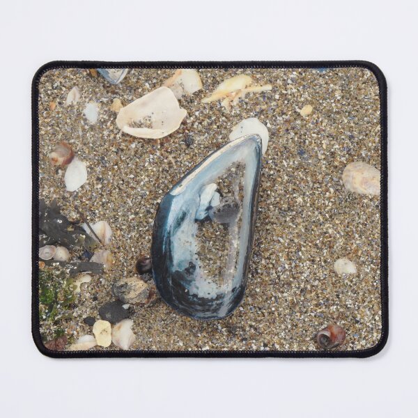 Item preview, reflecting pool in mussel shell designed and sold by HematiteDesign.
