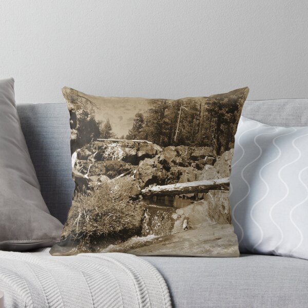 Item preview, Forest Waterfall in Sepia designed and sold by Robert Ball.
