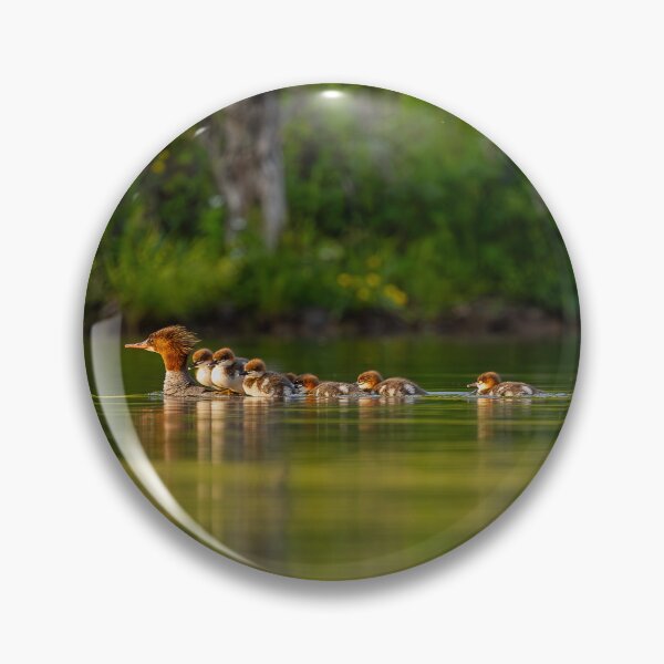 Item preview, Baby Ducks designed and sold by HaleWildlife.