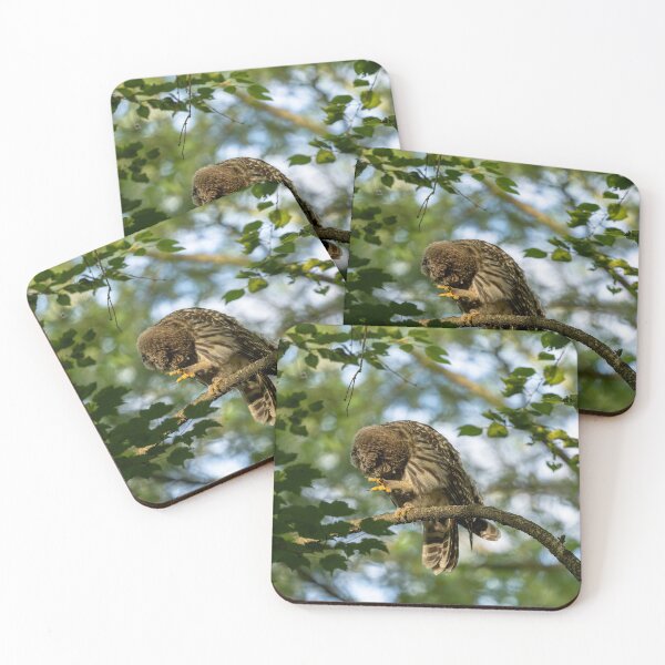 Item preview, Scratching Owl designed and sold by HaleWildlife.