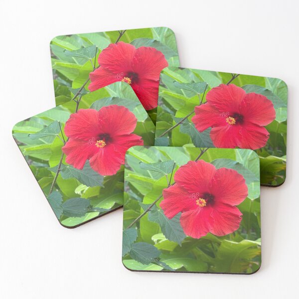 Artikelvorschau, Roter Hibiskus entworfen und verkauft von mtc616.