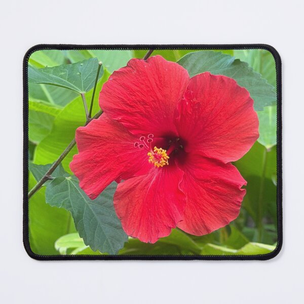 Item preview, Red Hibiscus  designed and sold by mtc616.