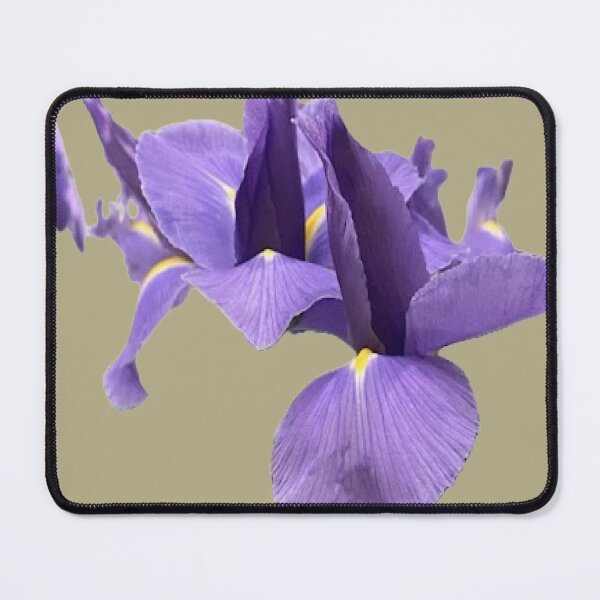 Item preview, Regal Purple Iris Blossom Botanical Cutout designed and sold by BalkanBloom.