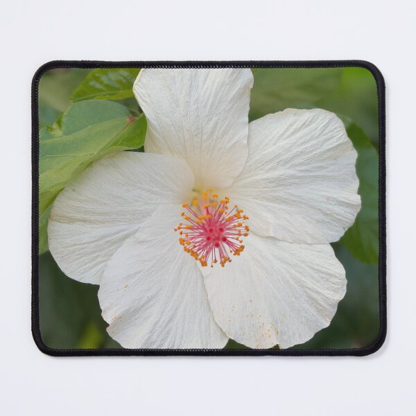 Item preview, White Hibiscus designed and sold by mtc616.