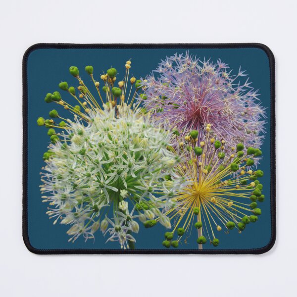 Item preview, Minimalist White Allium Decorative Garlic Flower Macro Photography Collage designed and sold by JurateArt-DK.