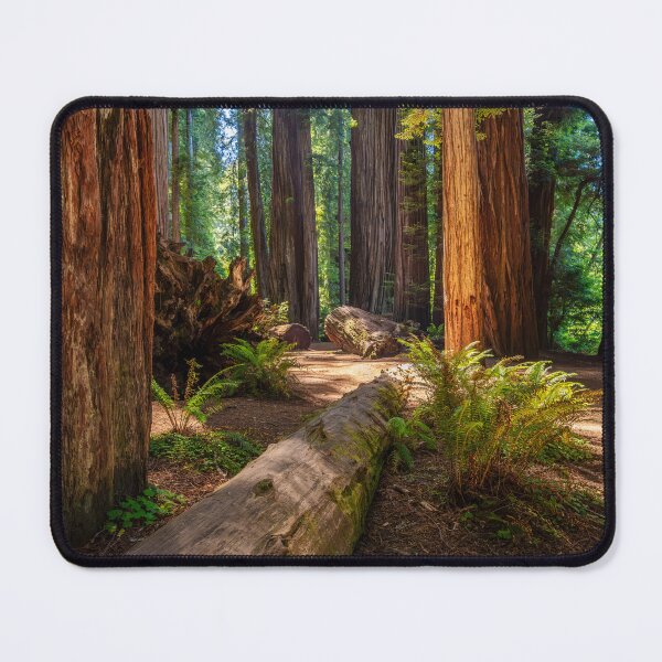 Item preview, Path Through the Giants designed and sold by CopperSkyPhoto.