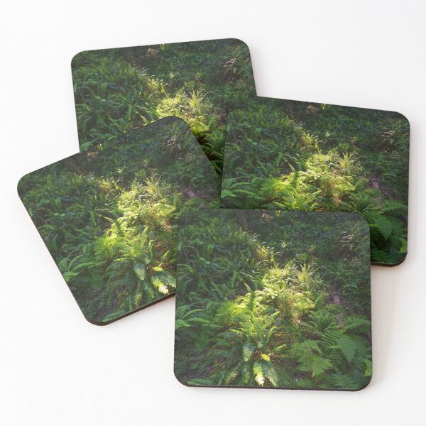 Item preview, Sunlit Fern Floor designed and sold by CopperSkyPhoto.