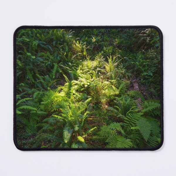 Item preview, Sunlit Fern Floor designed and sold by CopperSkyPhoto.