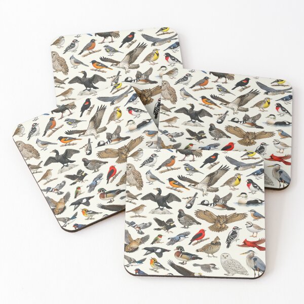 Item preview, Native Birds of Maine Retro Style Identification Chart designed and sold by kakarikihill.
