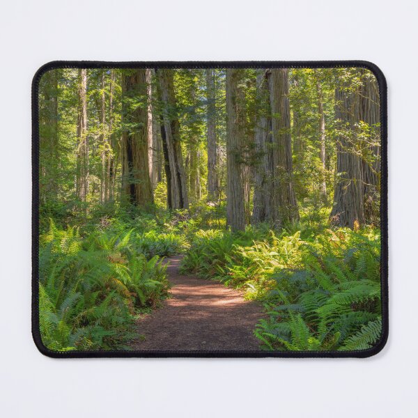 Item preview, The Fern Forest designed and sold by CopperSkyPhoto.