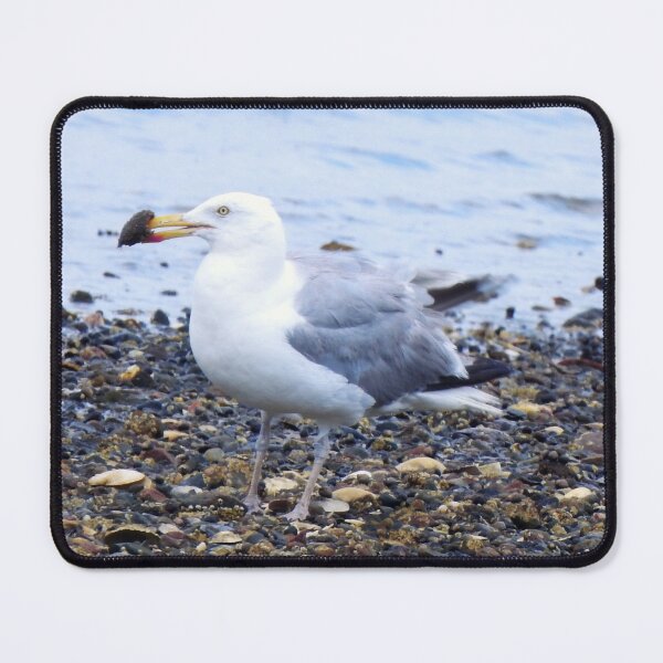 Item preview, Seagull Aftrnoon Snack designed and sold by HematiteDesign.