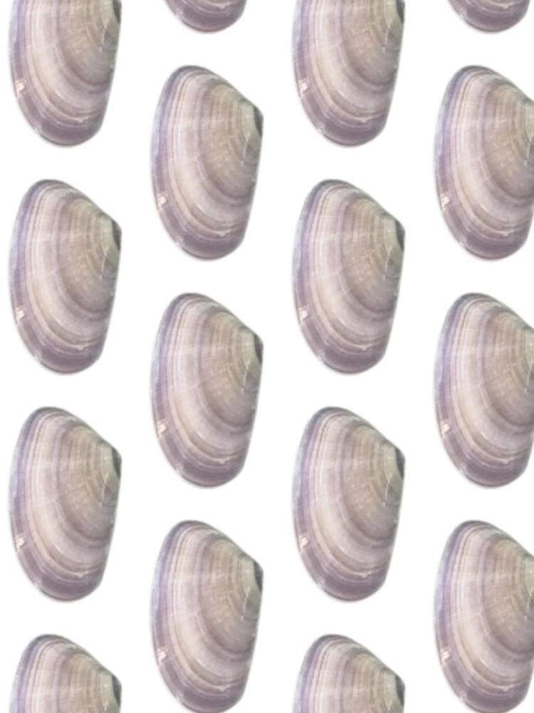 Thumbnail 4 of 4, Samsung Galaxy Phone Case, Shell designed and sold by laurenodegard.