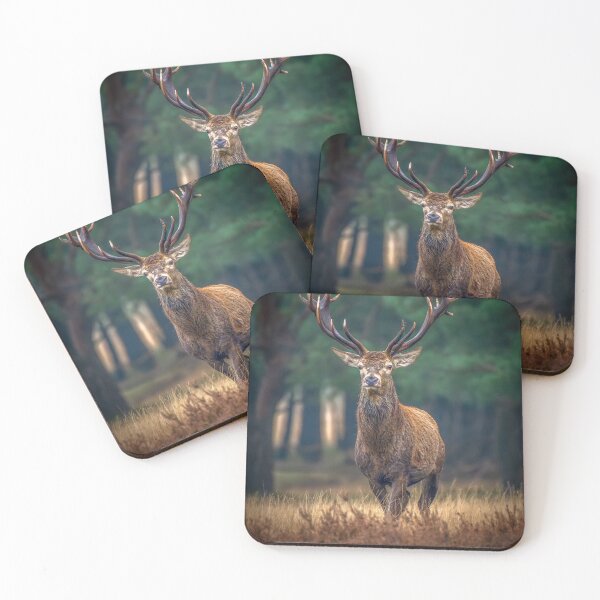 Item preview, Forest Basshunter aKing Spirit designed and sold by Blosslandscape.