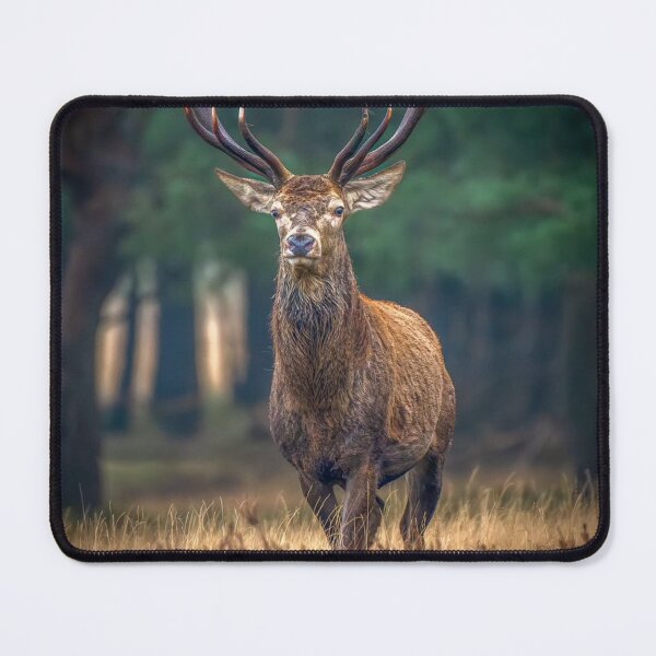 Item preview, Forest Basshunter aKing Spirit designed and sold by Blosslandscape.