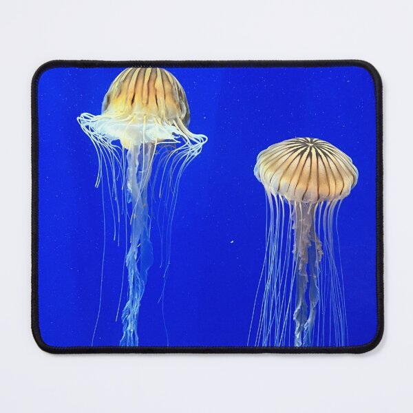 Item preview, Pair of Jellyfish designed and sold by mtc616.