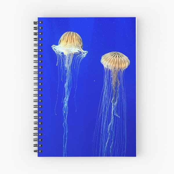 Item preview, Pair of Jellyfish designed and sold by mtc616.