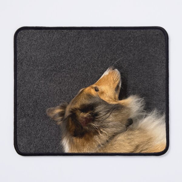 Item preview, Sheltie designed and sold by IansFans.
