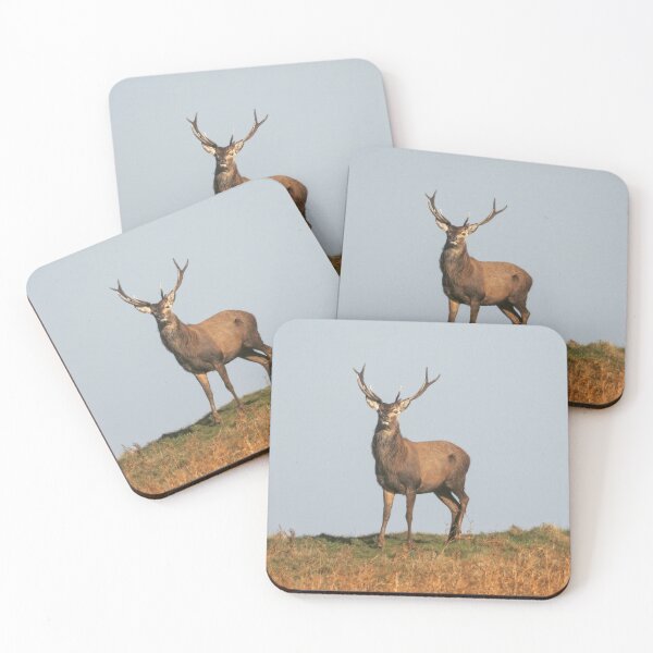 Item preview, Adventure Stiff Little Fingers aStag Journey designed and sold by Blosslandscape.