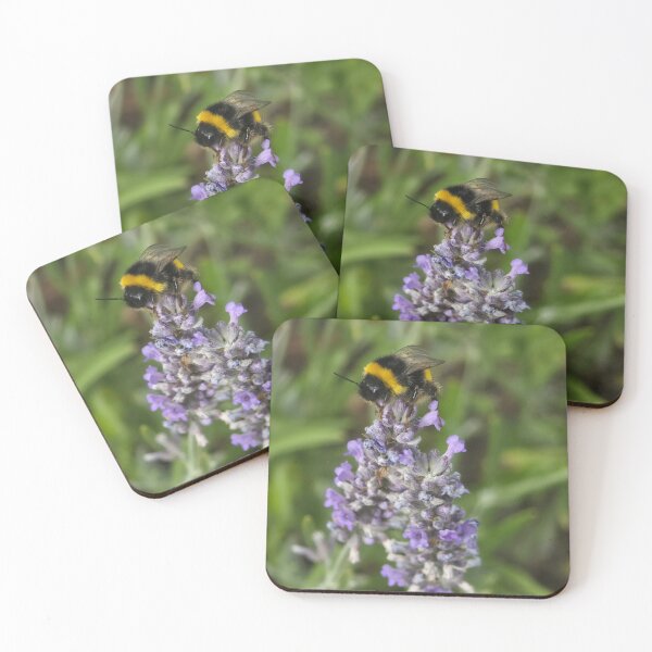 Item preview, Bumble Bee lavender nature insect  designed and sold by littlegreennote.