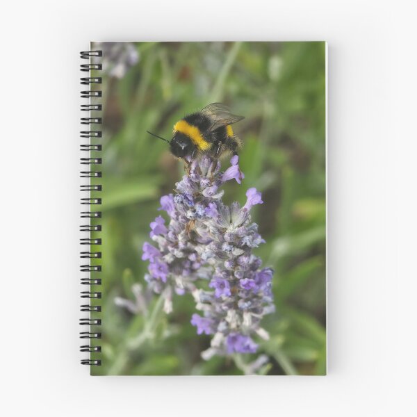 Item preview, Bumble Bee lavender nature insect  designed and sold by littlegreennote.