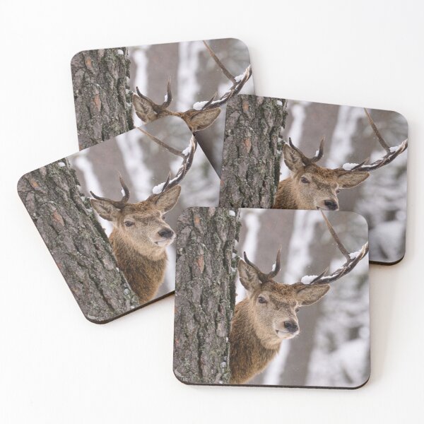 Item preview, Gentle Stiff Little Fingers Woodland Presence designed and sold by Blosslandscape.