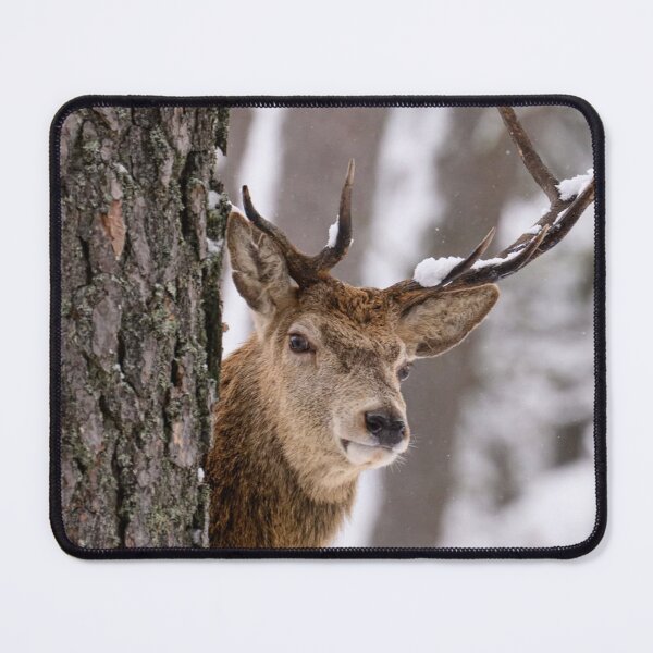 Item preview, Gentle Stiff Little Fingers Woodland Presence designed and sold by Blosslandscape.