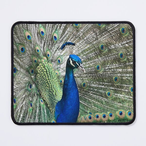 Item preview, Wild Peacock designed and sold by mtc616.