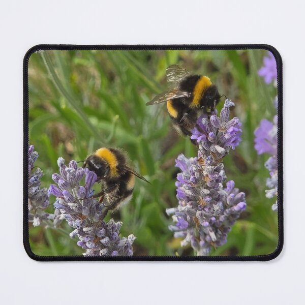 Item preview, Bumble Bee lavender nature insect designed and sold by littlegreennote.